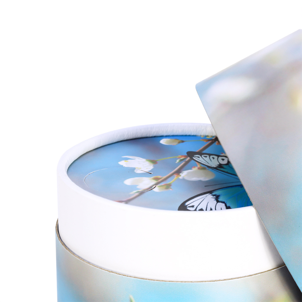 Blue Butterfly Paper Scattering Tube