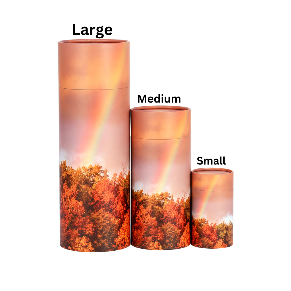Rainbow Paper Scattering Tube