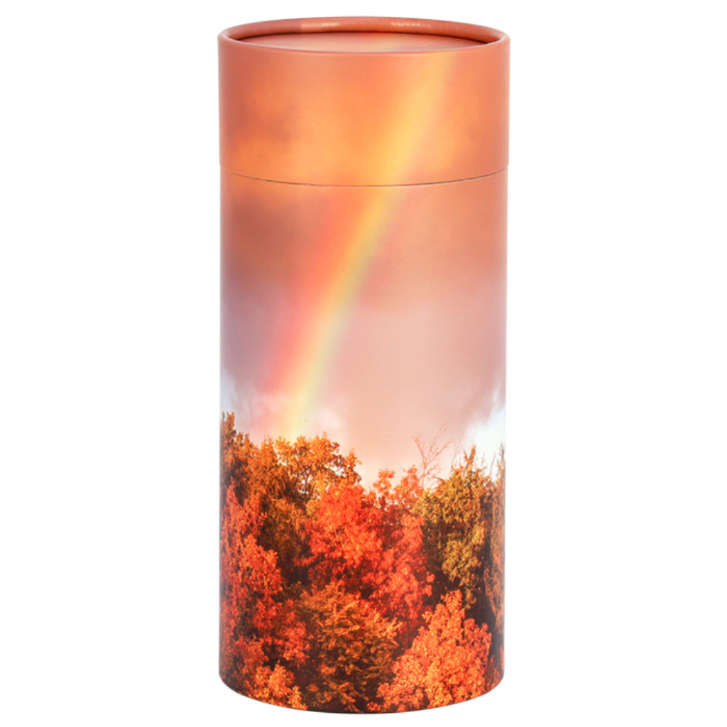 Rainbow Paper Scattering Tube