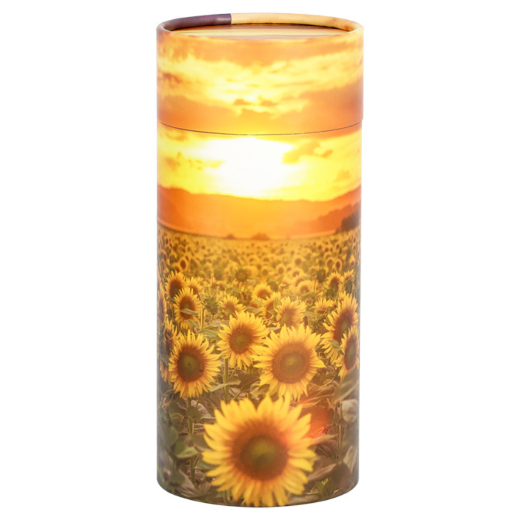 Sunflower Field Paper Scattering Tube