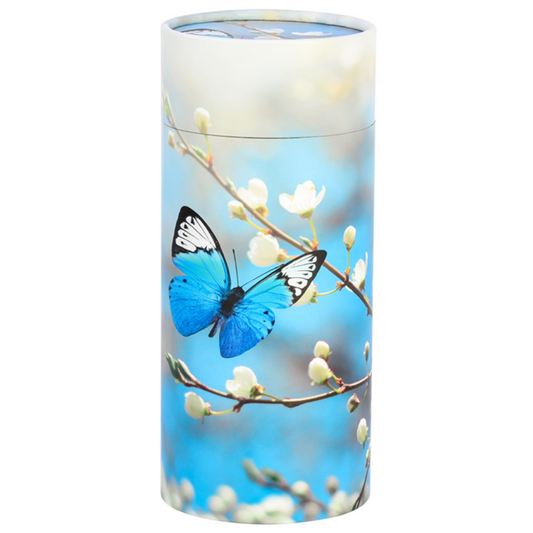 Blue Butterfly Paper Scattering Tube