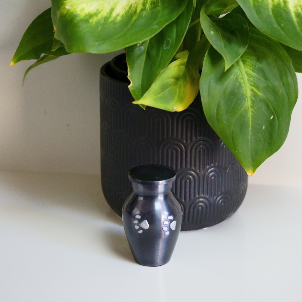 Classic style silver keepsake urn with etched pawprints in natural setting